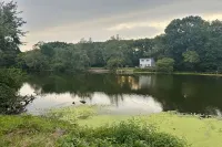 Stylish Suburban Retreat – Peaceful, Private, and Close to It All