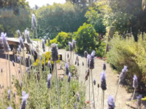 Two minutes from famous Raglan surf beaches. Access to bush track. Dogs welcome.