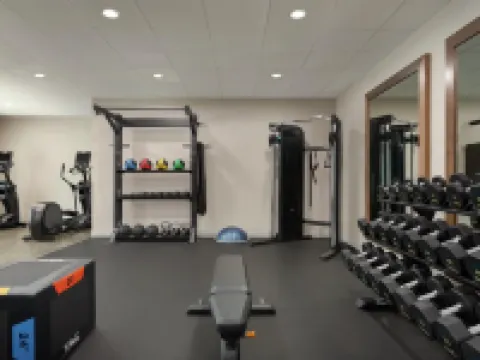 แฮมป์ตัน อินน์แอนด์สวีทส์ แทมปา ย่านบุชการ์เด้นส์ โรงแรมในแทมปา