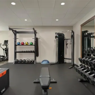 Hampton Inn and Suites by Hilton Tampa Busch Gardens Area Отели рядом с достопримечательностью «Зоопарк Лоури»