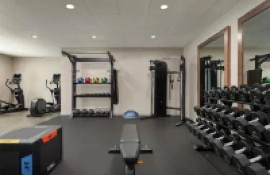 Hampton Inn and Suites by Hilton Tampa Busch Gardens Area