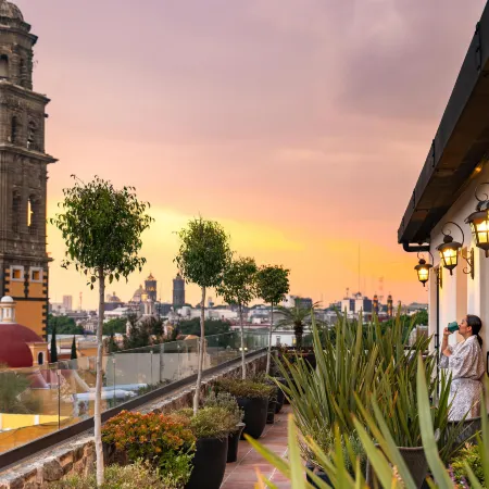 Banyan Tree Puebla