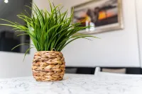 GuestReady - Escape agradável na Madeira - Alloggi