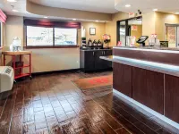 Red Roof Inn Detroit - Troy Hotels in Troy