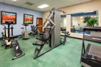 Holiday Inn 馬塔莫羅斯 by IHG - 健身室/gym room