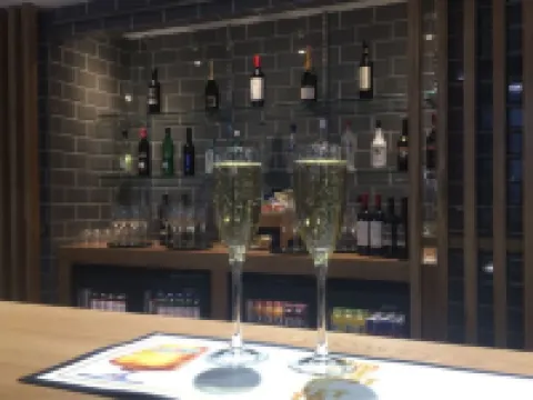 伯明翰市中心智選假日酒店 伯明翰酒店