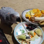 Royal Boutique Hotel Hotels in Guildford