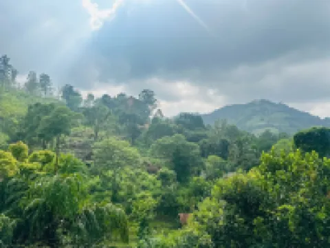 엘라 하이드 포레스트 코티지
