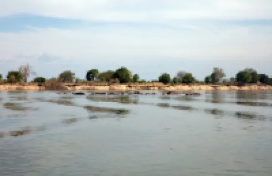 Chirundu Haven - Morgenmad