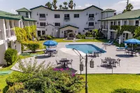 Quinta Dorada Hotel & Suites