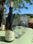 Chambres d'Hôtes et Gîtes le Mas Mellou - バー
