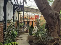 索奇米爾科的樹之家旅館(Casa del Árbol Hostel Xochimilco) 鄰近聖多明我教堂的酒店