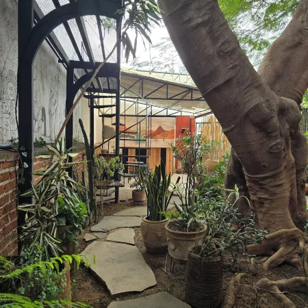 Casa del Árbol Hostel Xochimilco