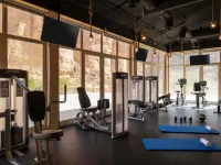 Shaden Resort Al Ula, Managed by Accor - Gym