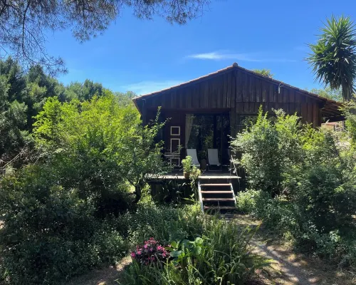 Pine Lodge - luxurious bungalow in nature Hotels in Valongo