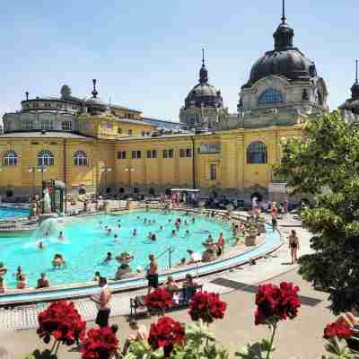 Vibrant 3 Bedroom Apartment in the Pulsing Heart of Budapest Fitness & Recreational Facilities