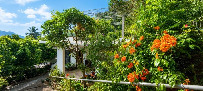Hilltop Retreat Matale Hotels in Matale