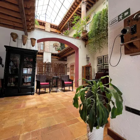 Casa del Pingorongo