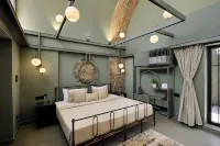 ELIVAAS Stone Age 6BHK Villa with Pool - Villas