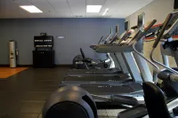 Hampton Inn & Suites Manteca - Gym