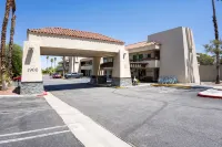 The Infusion Beach Club