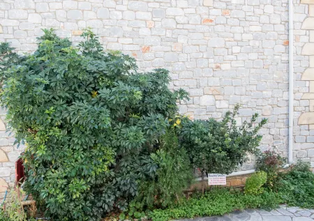 Manoleas Villas - Apartment 4