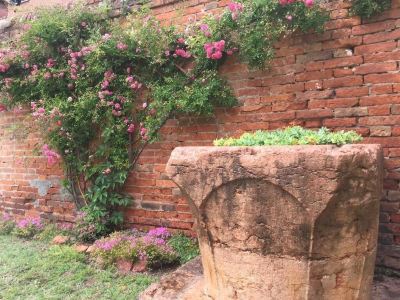 Hotel Exterior Garden Houses Apartment Photo