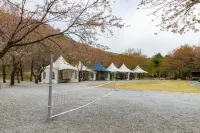 Goesan Songnisan Tongnamu Pension Hotels in Goesan-gun