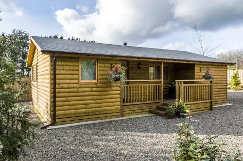Laurel Lodge - 2 Bedroom Log Cabin - St Florence - Villas