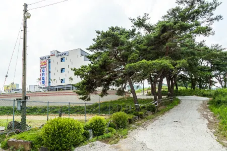 Geumsan High Hill Self Check-in Hotel Отели в г. Кымсан