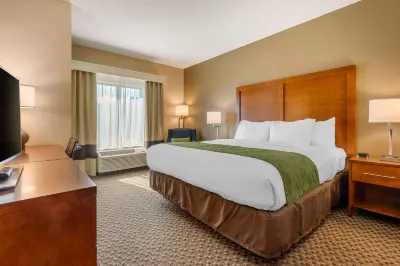 Comfort Inn & Suites Hotels in Florence