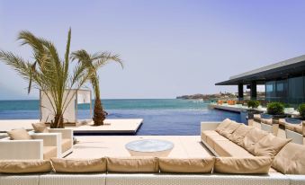 a poolside lounge area with a pool , palm trees , and a couch is shown in front of the ocean at Radisson Blu Hotel, Dakar Sea Plaza