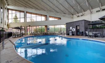an indoor swimming pool with a large , empty pool and surrounding facilities in a modern building at The Atrium Hotel on Third