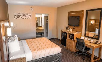 Quality Inn & Suites Near Six Flags - Austell