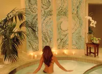 Hotel del Coronado Hotels in Coronado
