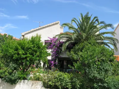 Maslina