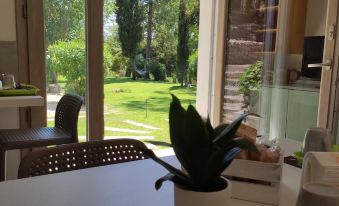 a view of a lush green lawn through a window with a plant in the foreground at Memento