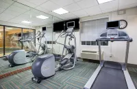 Holiday Inn Express & Suites ALCOA (KNOXVILLE AIRPORT) by IHG - Gym