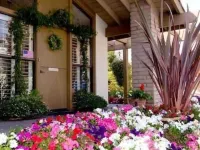 Adobe Inn