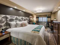 The Kenilworth Hotel - Airport West Hotels in Union