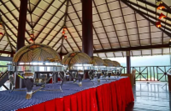 Wild Planet Jungle Resort