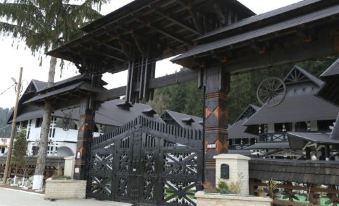 Complex Lions Bucovina