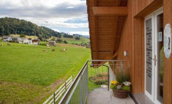 B&B Ferienhof am See