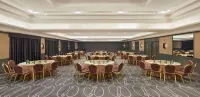 Hyatt Regency Baku - Business
