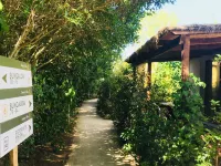 Tipo A Hotels in Castiglione della Pescaia