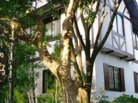 Pension Totem Pole