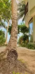 Thundi Sea View Hotel a Vashugiri