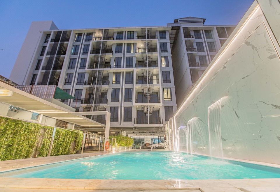 매리골드 스쿰윗