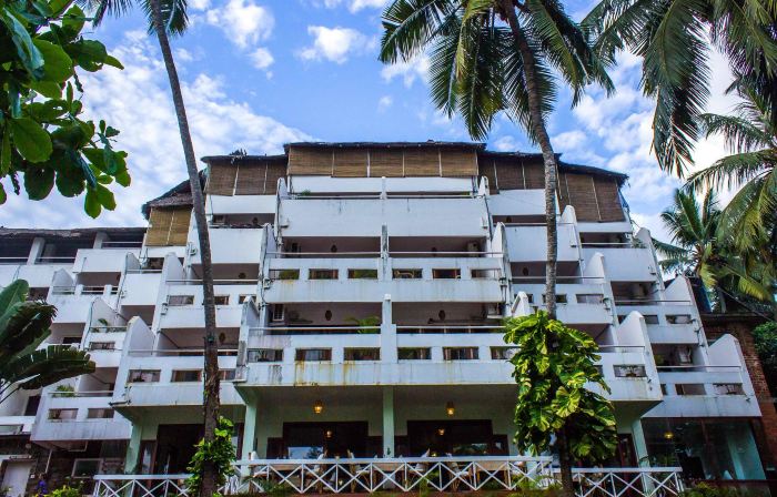 Soma Palmshore