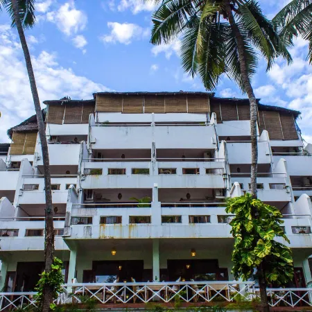 Soma Palmshore